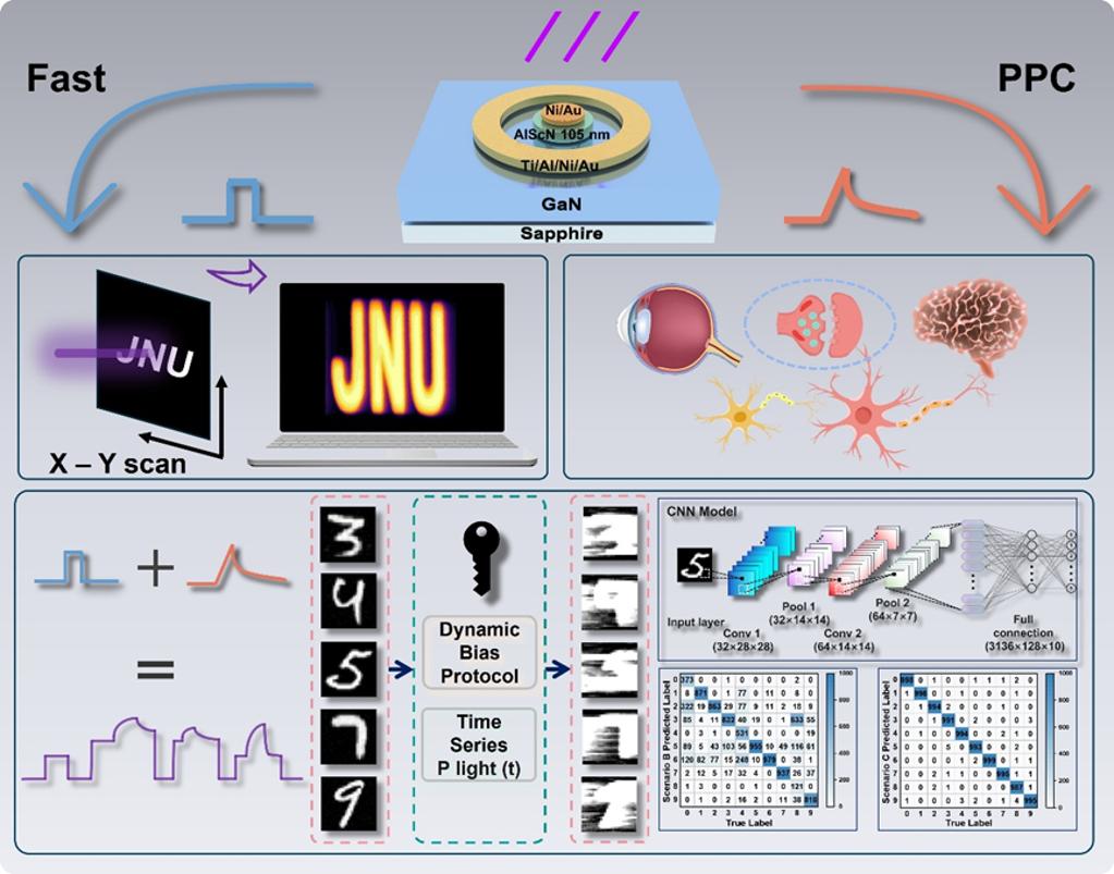 理学院杨国锋教授课题组在宽禁带半导体多功能光电子器件领域取得重要进展