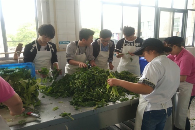 信计1503班举行劳动节主题团日活动